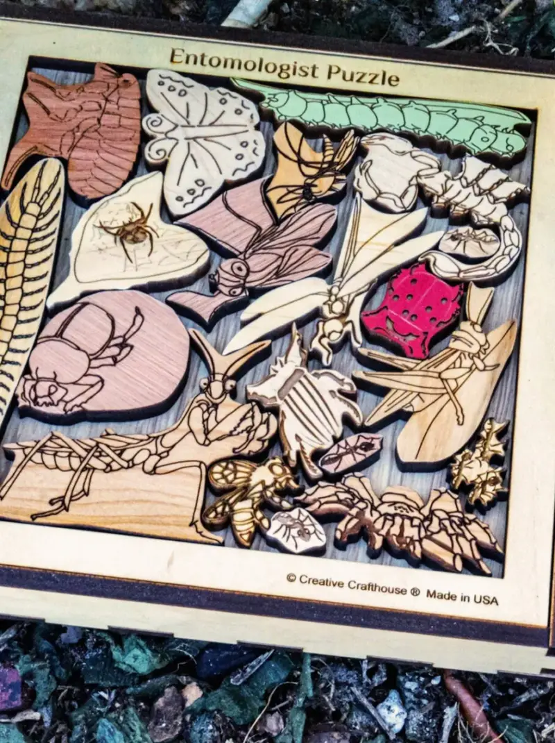 Wooden Insect Lover Desk Puzzle Brain Teaser